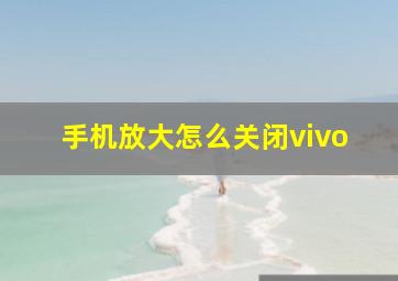 手机放大怎么关闭vivo