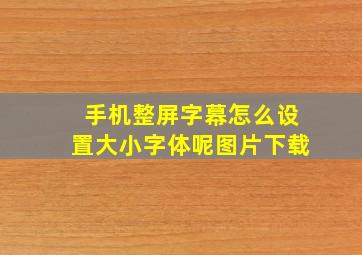 手机整屏字幕怎么设置大小字体呢图片下载