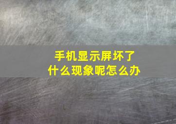 手机显示屏坏了什么现象呢怎么办