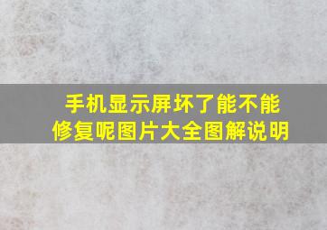 手机显示屏坏了能不能修复呢图片大全图解说明