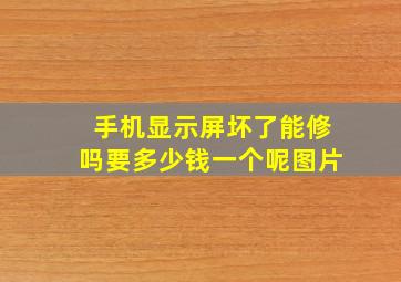 手机显示屏坏了能修吗要多少钱一个呢图片