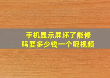 手机显示屏坏了能修吗要多少钱一个呢视频