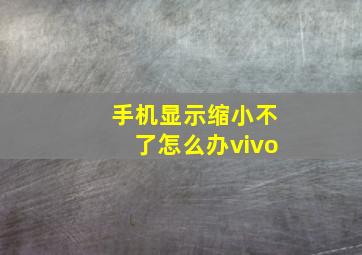 手机显示缩小不了怎么办vivo