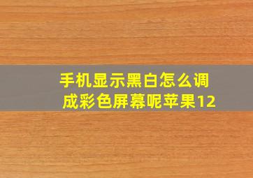 手机显示黑白怎么调成彩色屏幕呢苹果12