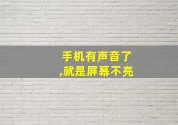 手机有声音了,就是屏幕不亮