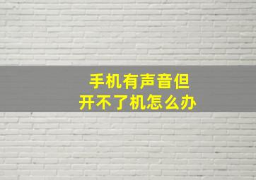 手机有声音但开不了机怎么办