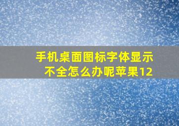 手机桌面图标字体显示不全怎么办呢苹果12