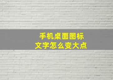 手机桌面图标文字怎么变大点