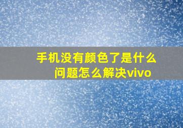 手机没有颜色了是什么问题怎么解决vivo