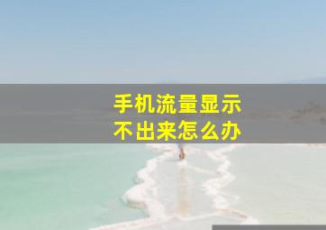 手机流量显示不出来怎么办