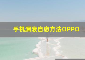 手机漏液自愈方法OPPO