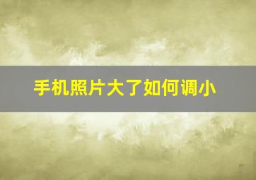 手机照片大了如何调小