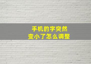 手机的字突然变小了怎么调整