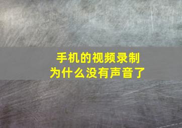 手机的视频录制为什么没有声音了