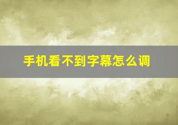 手机看不到字幕怎么调