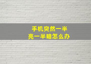 手机突然一半亮一半暗怎么办