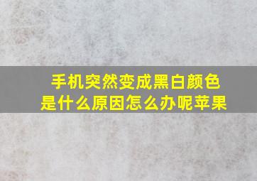 手机突然变成黑白颜色是什么原因怎么办呢苹果