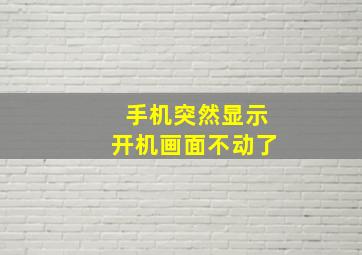 手机突然显示开机画面不动了