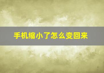 手机缩小了怎么变回来