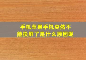 手机苹果手机突然不能投屏了是什么原因呢