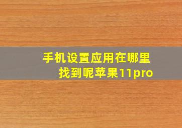 手机设置应用在哪里找到呢苹果11pro