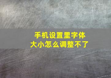 手机设置里字体大小怎么调整不了