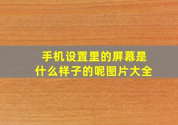 手机设置里的屏幕是什么样子的呢图片大全