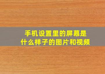 手机设置里的屏幕是什么样子的图片和视频