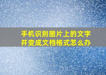 手机识别图片上的文字并变成文档格式怎么办