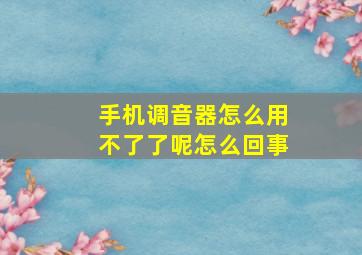 手机调音器怎么用不了了呢怎么回事