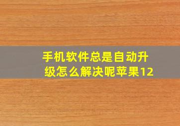 手机软件总是自动升级怎么解决呢苹果12