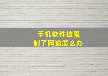 手机软件被限制了网速怎么办