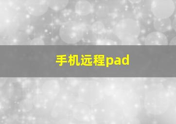 手机远程pad