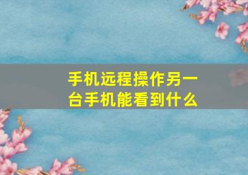 手机远程操作另一台手机能看到什么