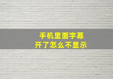 手机里面字幕开了怎么不显示