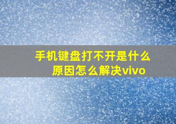 手机键盘打不开是什么原因怎么解决vivo