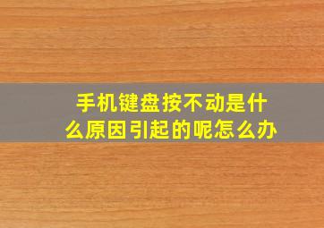 手机键盘按不动是什么原因引起的呢怎么办