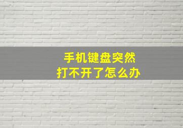 手机键盘突然打不开了怎么办