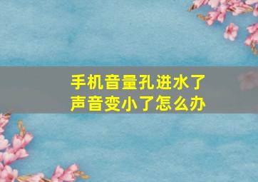 手机音量孔进水了声音变小了怎么办