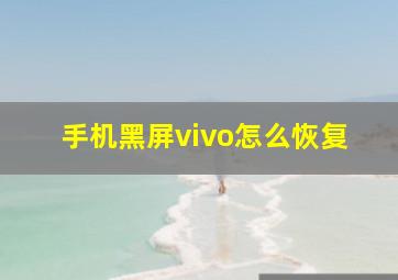 手机黑屏vivo怎么恢复