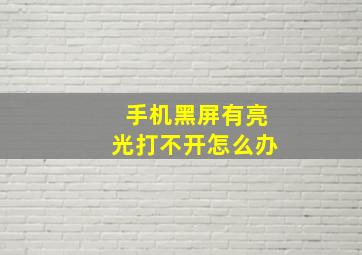 手机黑屏有亮光打不开怎么办