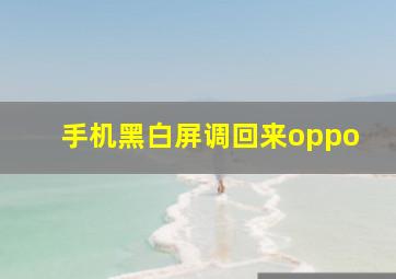 手机黑白屏调回来oppo