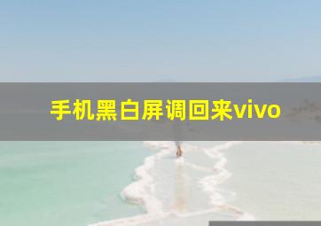 手机黑白屏调回来vivo