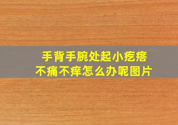 手背手腕处起小疙瘩不痛不痒怎么办呢图片