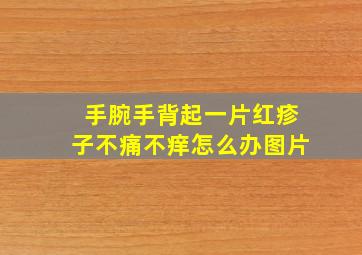 手腕手背起一片红疹子不痛不痒怎么办图片