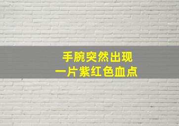 手腕突然出现一片紫红色血点