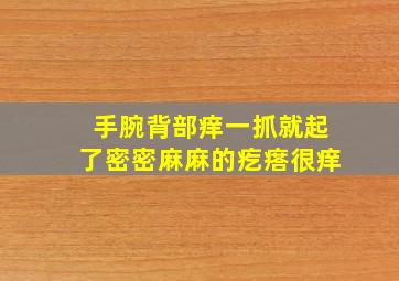 手腕背部痒一抓就起了密密麻麻的疙瘩很痒