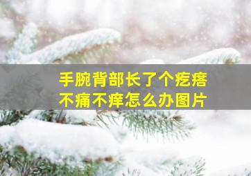 手腕背部长了个疙瘩不痛不痒怎么办图片