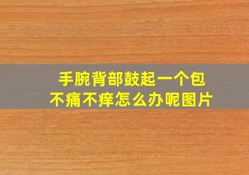 手腕背部鼓起一个包不痛不痒怎么办呢图片