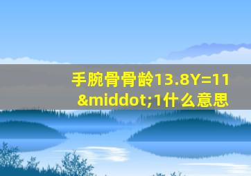 手腕骨骨龄13.8Y=11·1什么意思